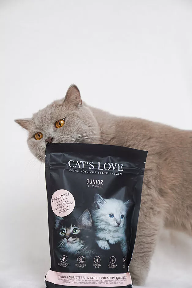 Hochwertiges Kitten-Trockenfutter Geflgel | CAT'S LOVE