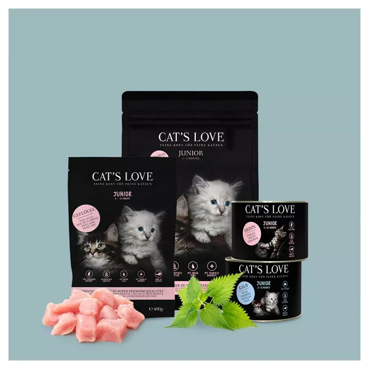Hochwertiges Kitten-Trockenfutter Geflgel | CAT'S LOVE