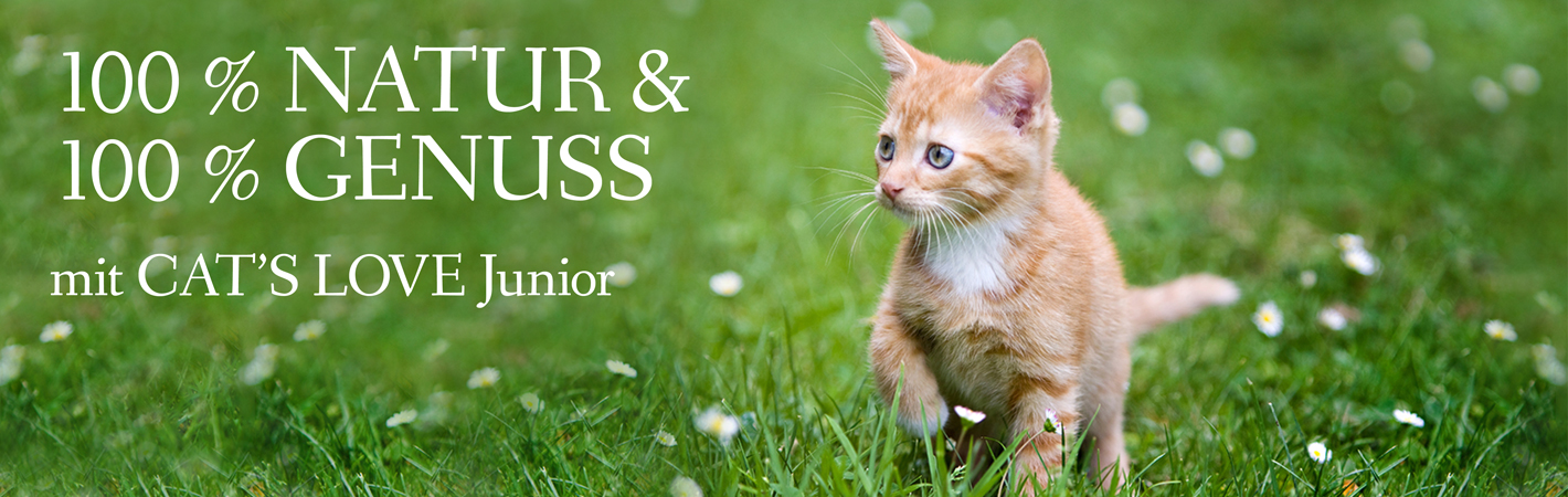 Banner auf dem ein Kitten auf einer Wiese läuft, die mit Gänseblümchen bedeckt ist mit dem Schriftzug: 100% Natur & 100% Genuss mit CAT'S LOVE Junior