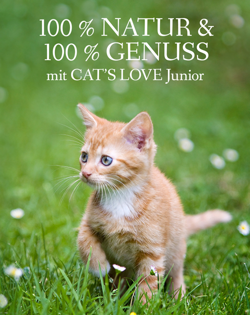 Banner auf dem ein Kitten auf einer Wiese läuft, die mit Gänseblümchen bedeckt ist mit dem Schriftzug: 100% Natur & 100% Genuss mit CAT'S LOVE Junior