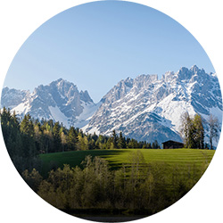 Landschaftsbild mit einer grünen Wiese und Bäumen im Vordergrund und schneebedeckten Bergen im Hintergrund sowie einem Wolkenlosem Himmel