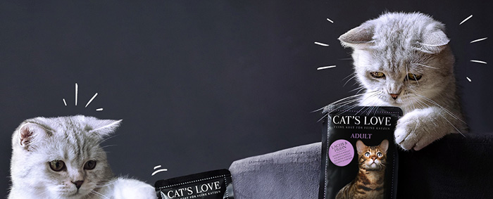 Zwei Katzen die mit den CAT'S LOVE Pouches spielen