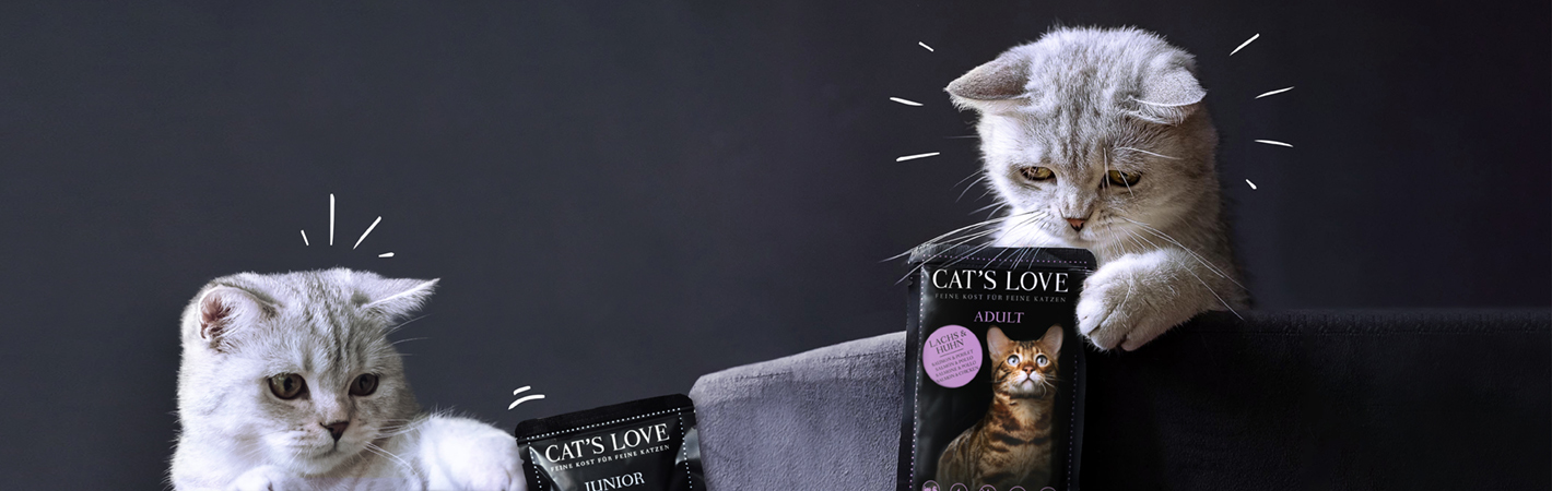 Zwei Katzen die mit den CAT'S LOVE Pouches spielen