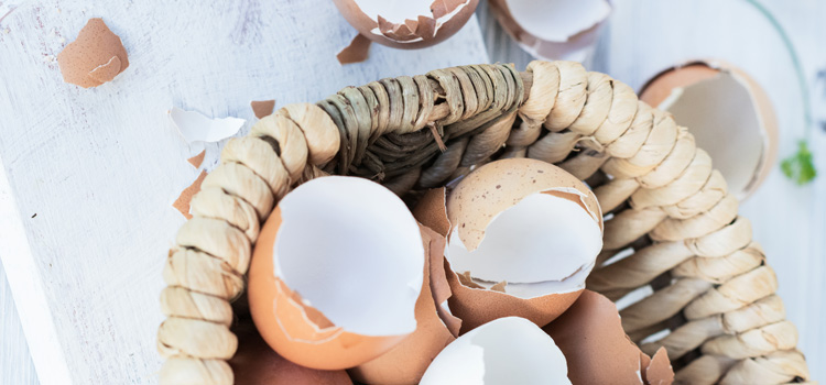 Eierschalen die in und um einem Korb auf einer weißen Platte liegen