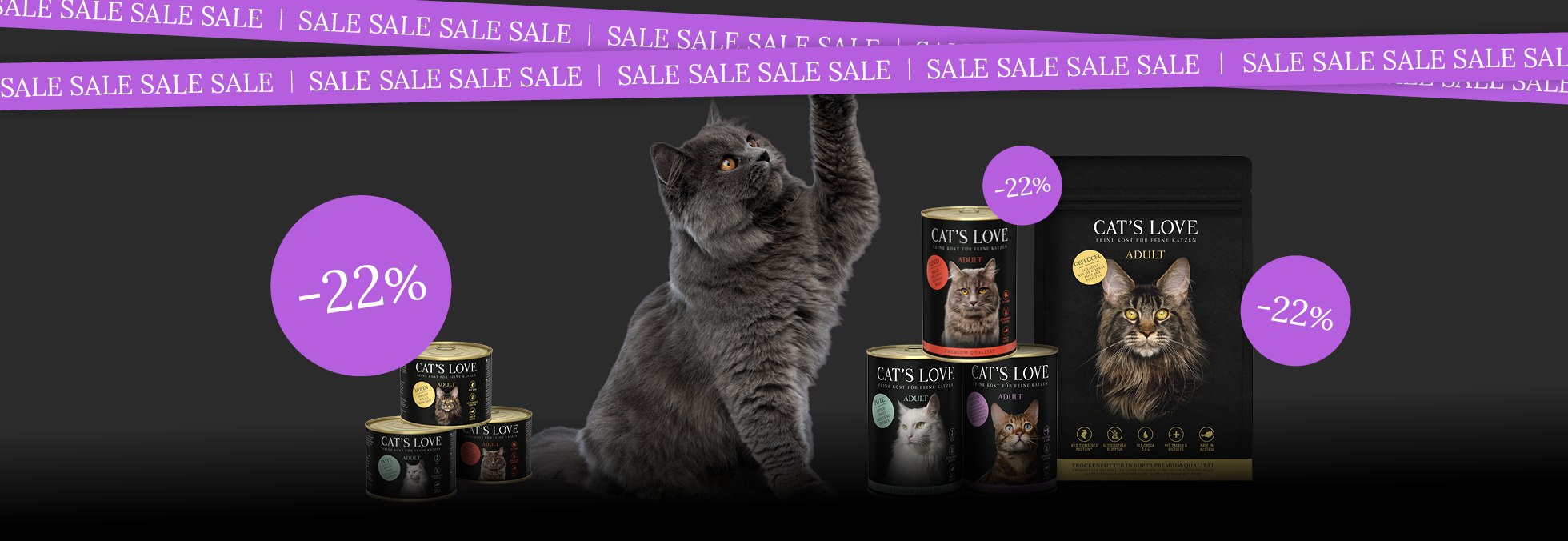 Katze riecht an Katzenfutter von Catslove