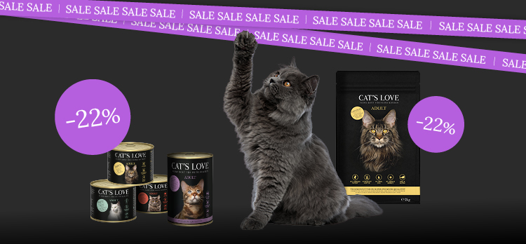 Katze riecht an Katzenfutter von Catslove