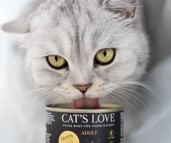 Katze mit einer Dose Katzenfutter von Cat's Love