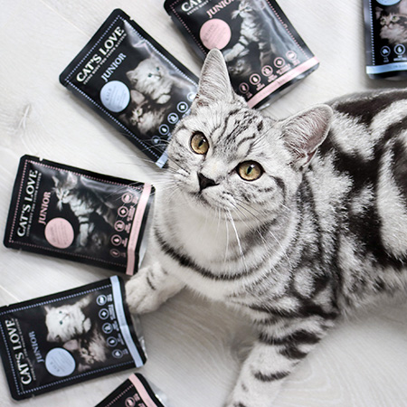 Eine Katze sitzt am Boden und sieht hoch zur Kamara, rund um sie liegen CAT'S LOVE Junior Pouches