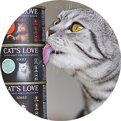 Katze die an einer von drei CAT'S LOVE Dosen leckt
