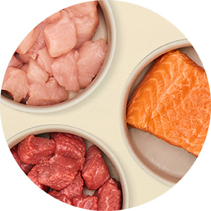 Drei Futternäpfe die mit unterschiedlichen Fleischsorten gefüllt sind: Huhn, Rind und Lachs