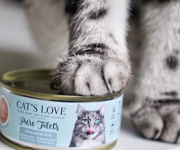Katze hält ihre Pfote an eine CAT'S LOVE Dose