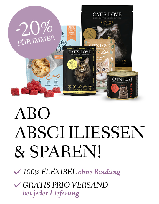 Abo Abschliessen & Sparen