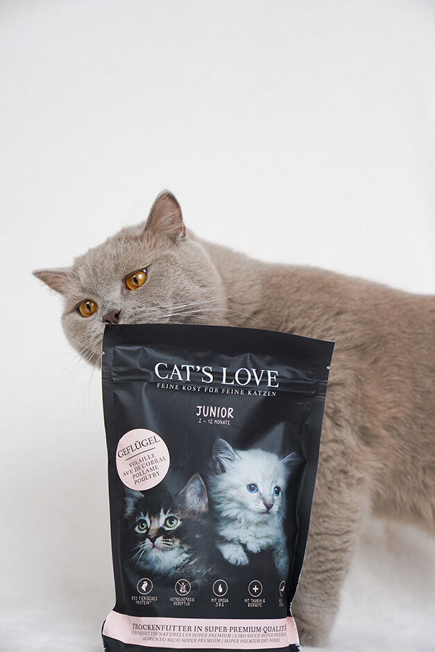 CAT'S LOVE Premium Kitten Food Junior poultry | buy now