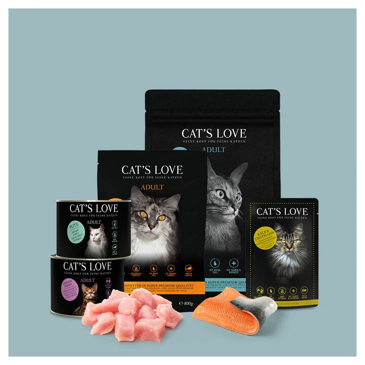 Dry cat food cats love top