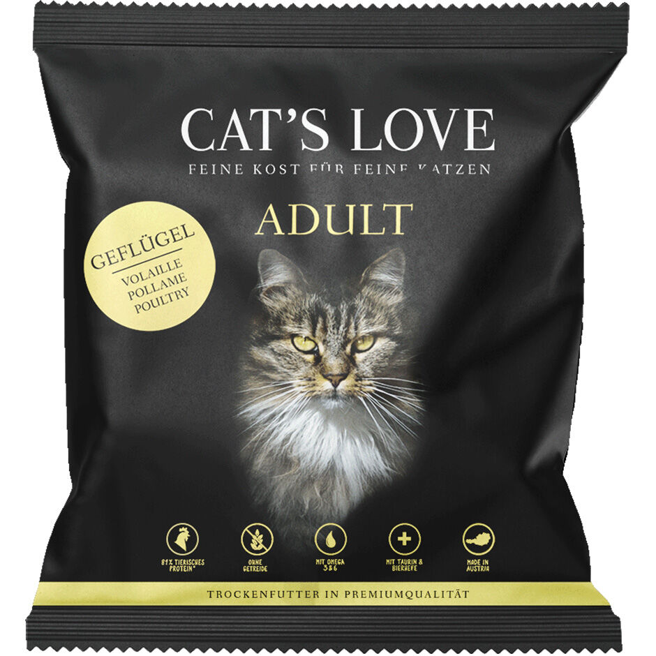 Go on sale cat senior