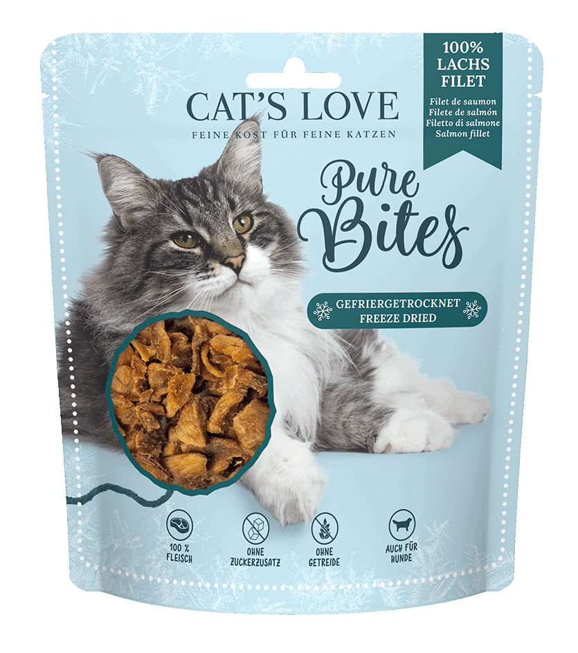 pure bites cat
