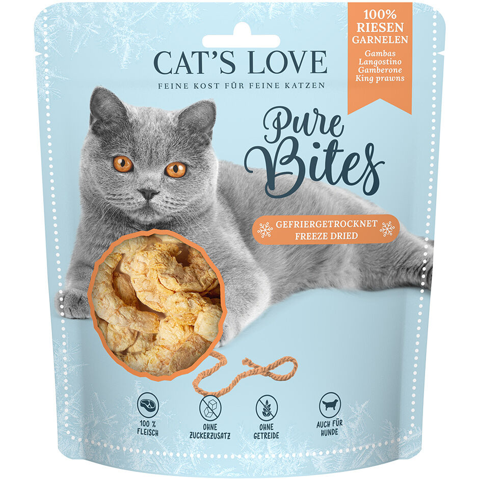 Can kittens outlet eat prawns