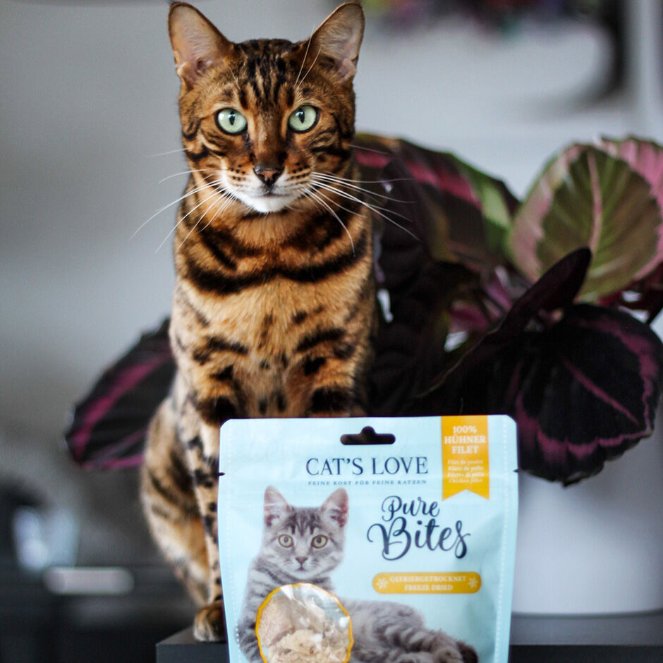 Purebites cheap cat food
