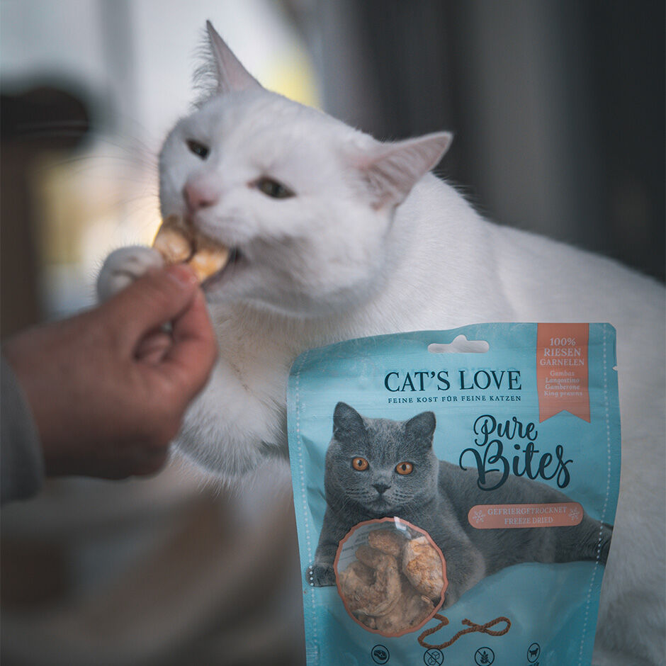 CAT'S LOVE Premium Cat treats king prwan buy now