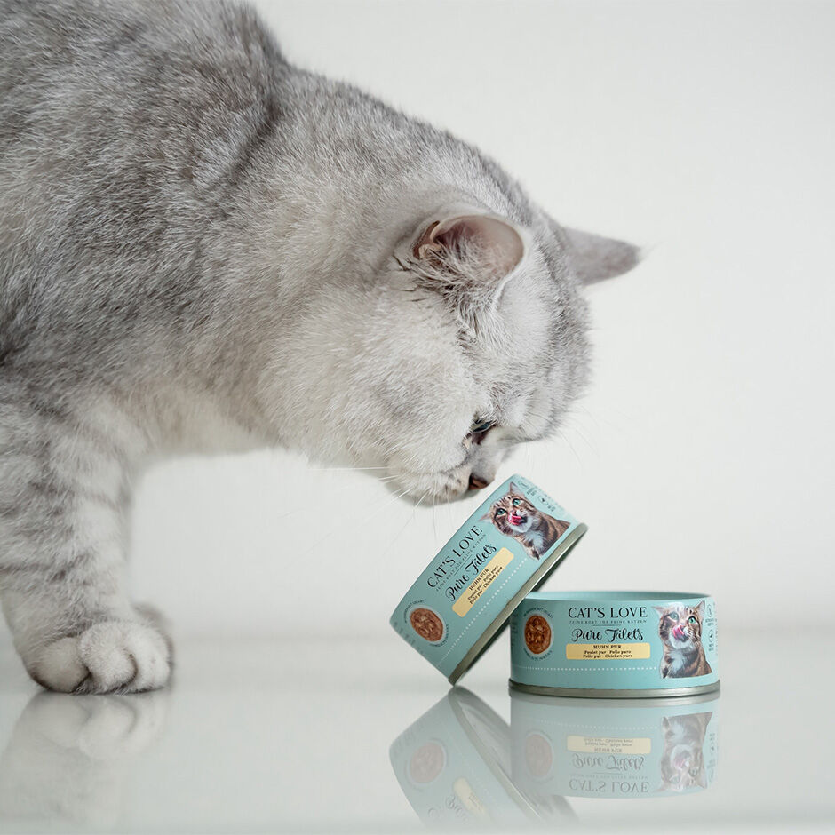 Wet cat food that cats love clearance