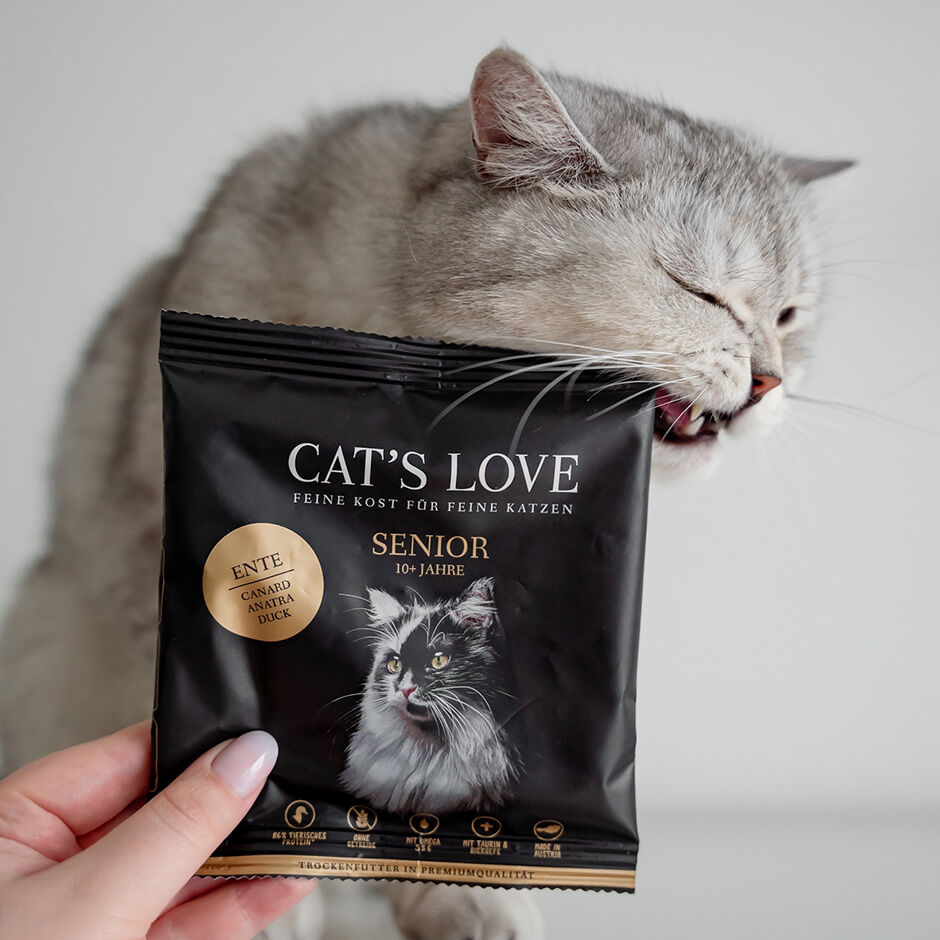 Duck for cats store