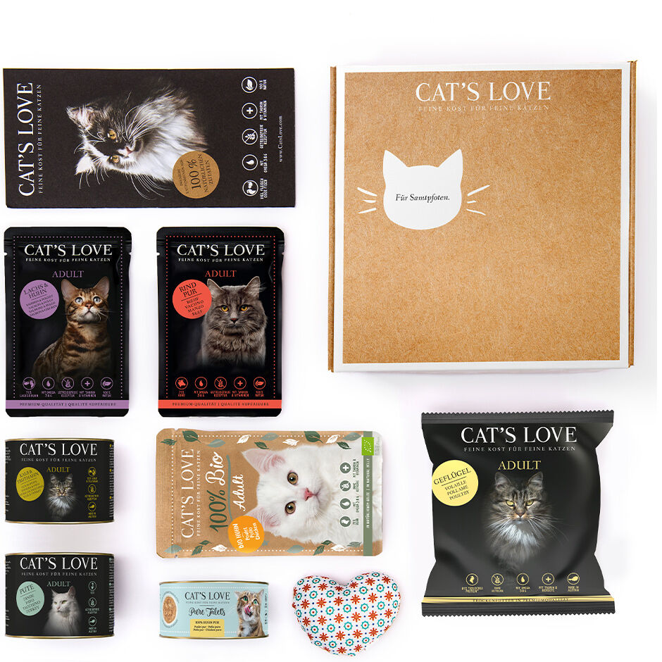 Now sales kitten food