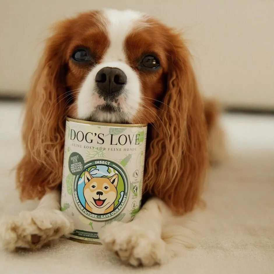 Pure Insect | Wet Dog Food