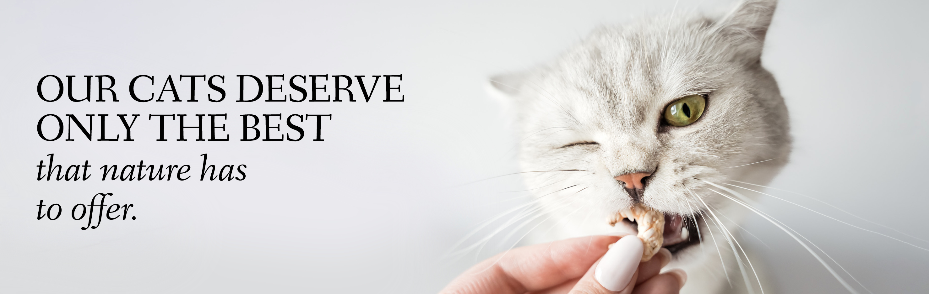 Banner with a cat nibbling on a shrimp with the text: Our cats deserve only the best that nature has to offer.