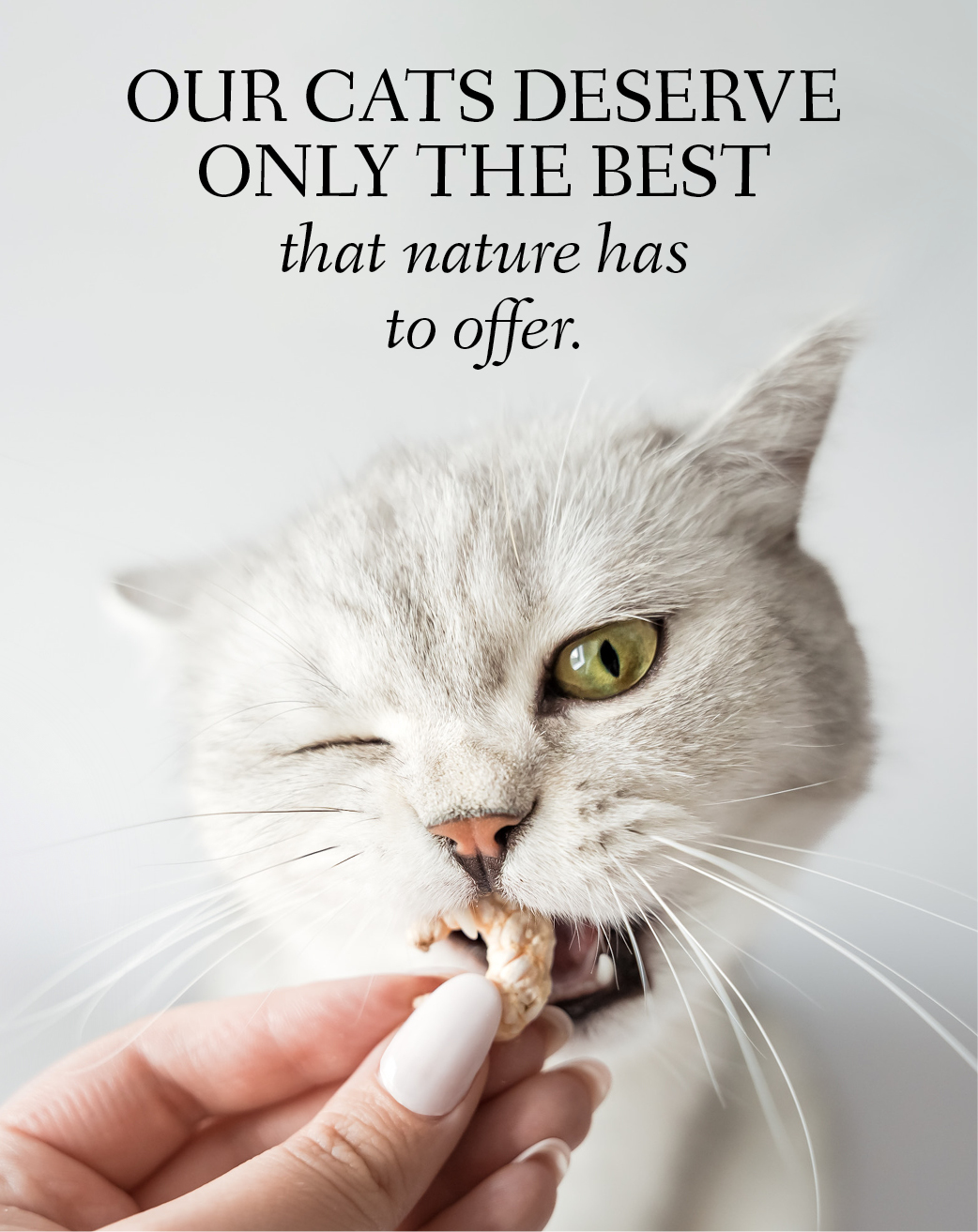 Banner with a cat nibbling on a shrimp with the text: Our cats deserve only the best that nature has to offer.