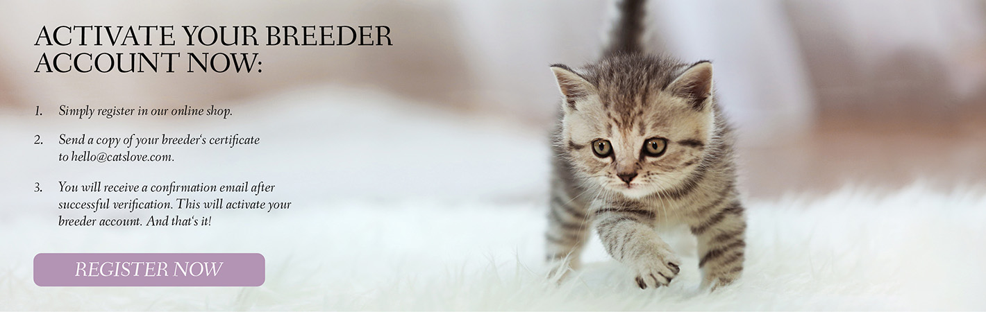 Banner on which a kitten is walking on a carpet with the information to register and the possibility to click on a button to create a customer account.