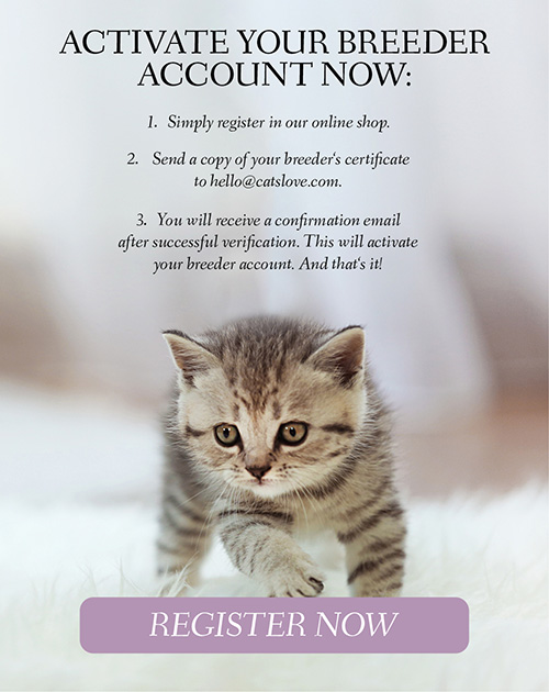 Banner on which a kitten is walking on a carpet with the information to register and the possibility to click on a button to create a customer account.