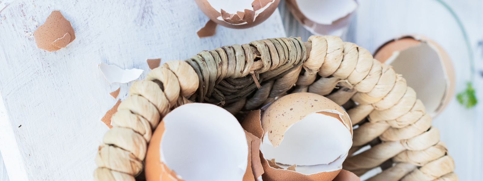 Eggshells lying in and around a basket on a white plate