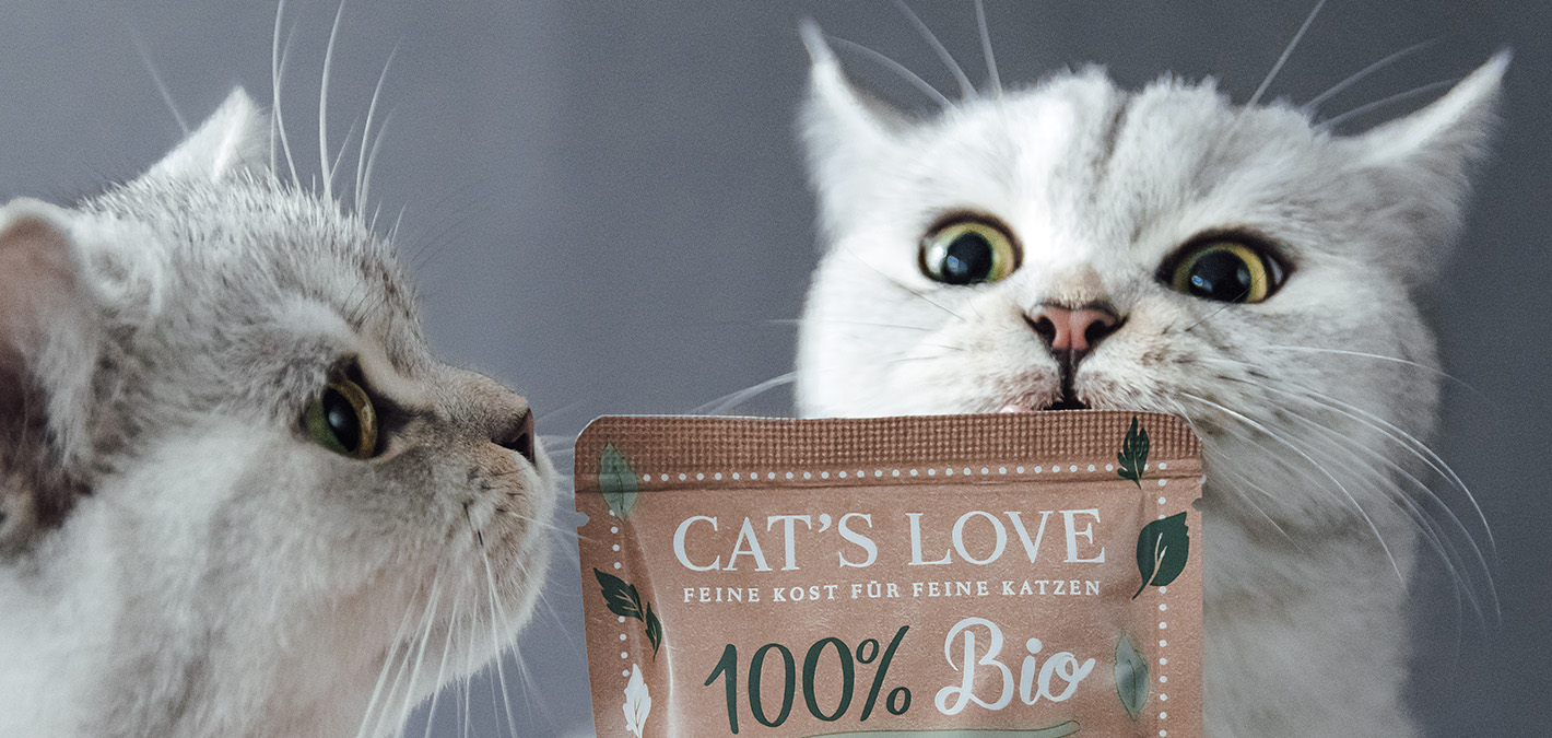 Two cats sniffing an organic pouch from CAT'S LOVE