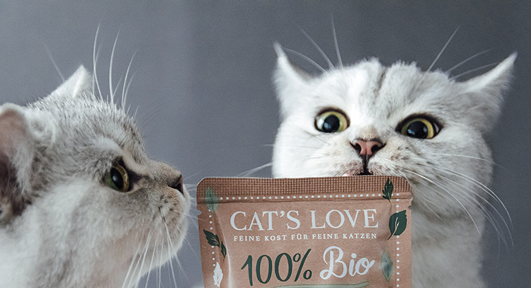 Two cats sniffing an organic pouch from CAT'S LOVE