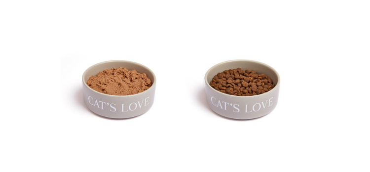 Wet and dry food