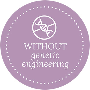 Icon with the inscription: Without genetic engineering