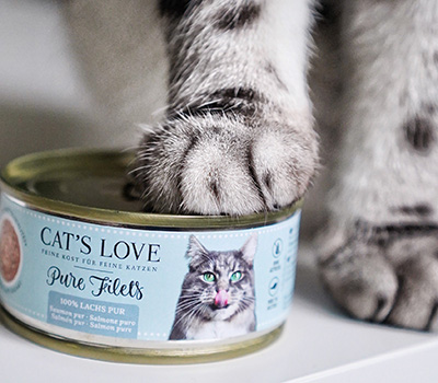 A cat with CAT'S LOVE food