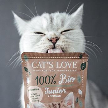Comida biológico para gatos