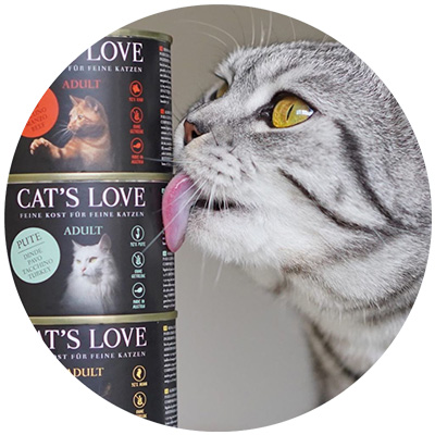 Gato lamiendo una de las tres latas de CAT'S LOVE