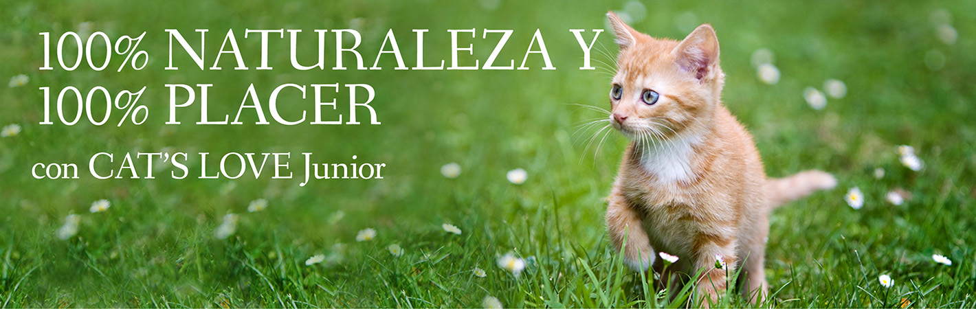 Pancarta en la que aparece un gatito corriendo en un prado cubierto de margaritas con las palabras: 100% Naturaleza & 100% Placer con CAT'S LOVE Junior