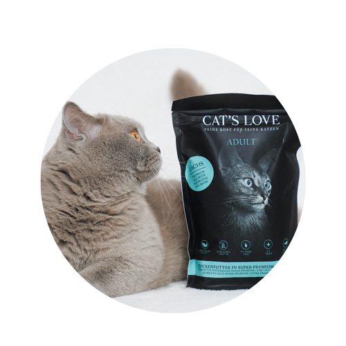 El gato se tumba en la cama y mira una bolsa de comida seca CTA'S LOVE Salmón