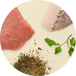 Image ronde avec de la viande, du poisson et des herbes sur un fond beige