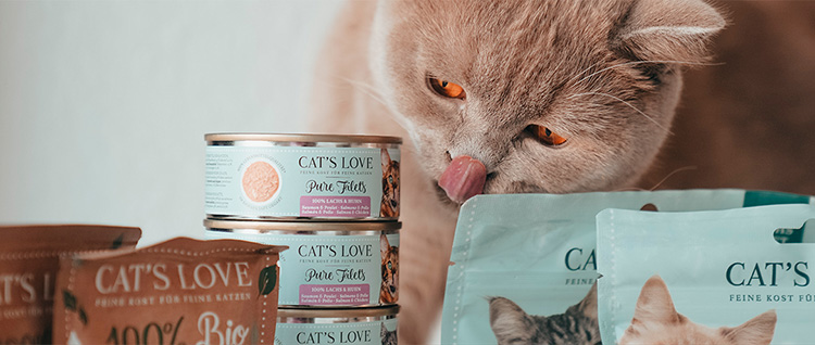 Un chat assis derrière différents produits CAT'S LOVE et qui se lèche la gueule