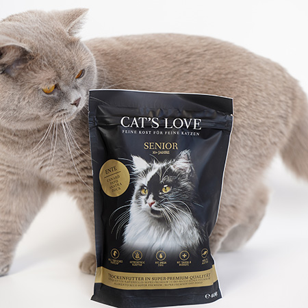 Chat avec un paquet de nourriture pour chat