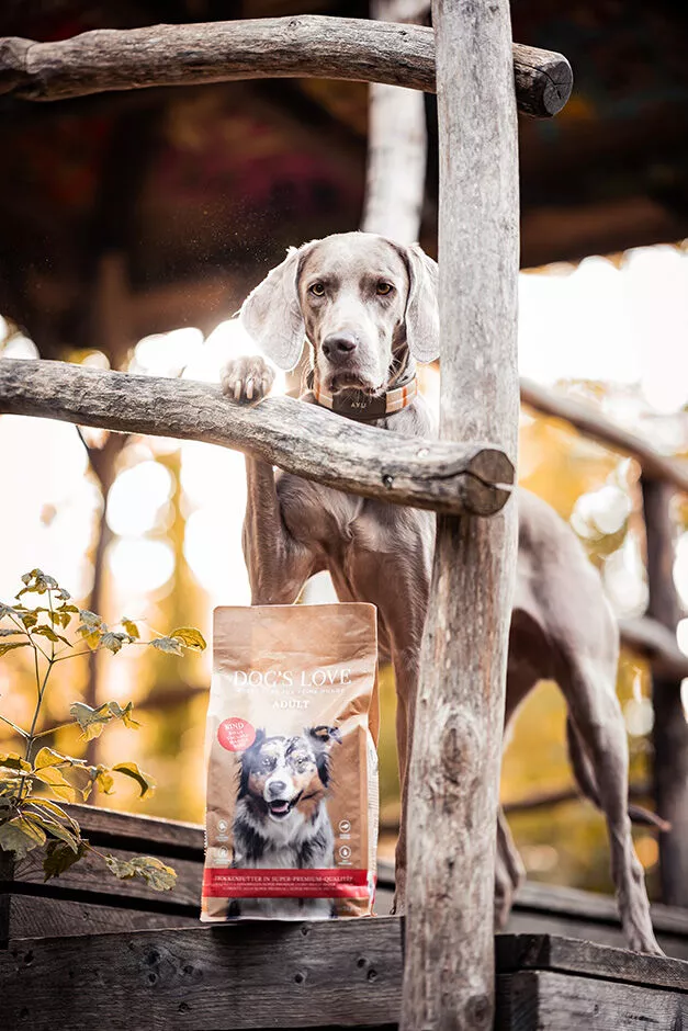Ein Hund mit einer Packung Hunde-Trockenfutter Rind