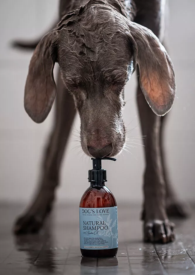Natural Shampoo