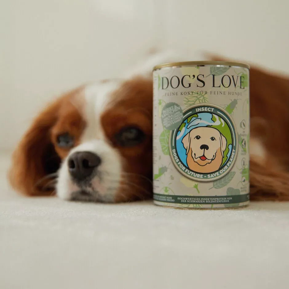 Insetto & Coniglio | Cibo Per Cani