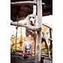 Ein Hund mit einer Packung Hunde-Trockenfutter Rind