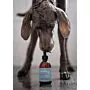 Natural Shampoo