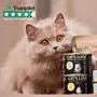 Testbox Adult